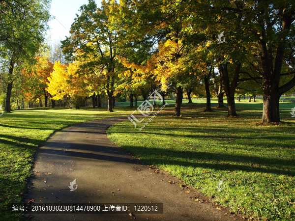 公園里的小路。
