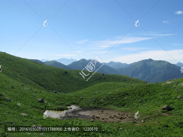 山