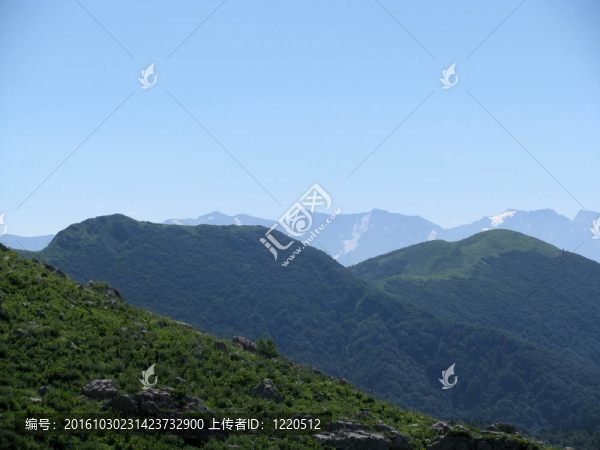 山