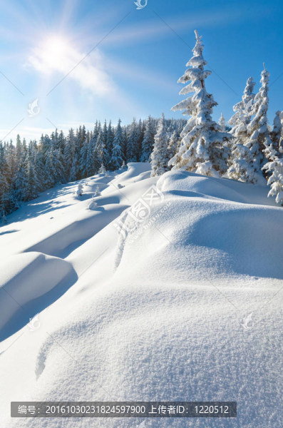 冬天的白雪覆蓋的山坡和太陽(yáng)雪