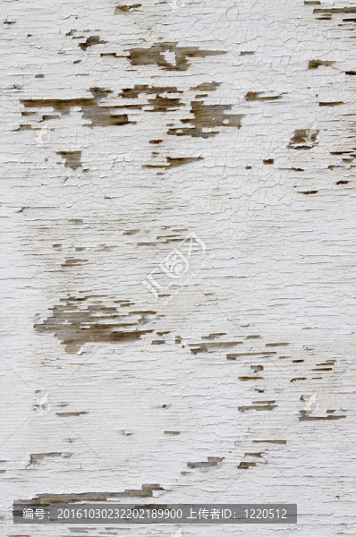 裂片狀白色油漆紋理背景。