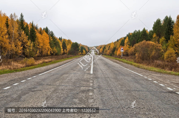 秋天的路上