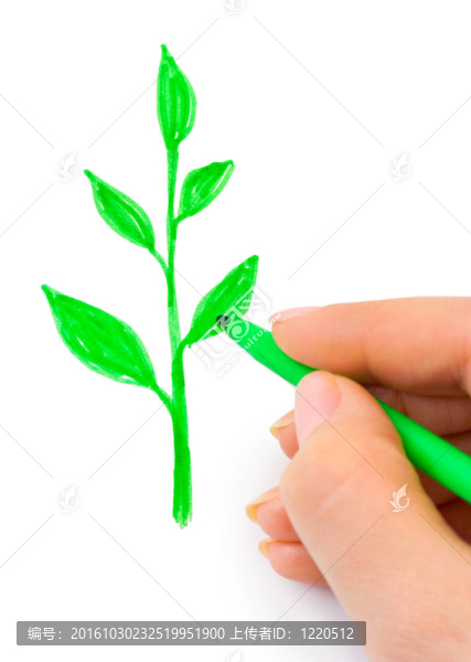 手繪植物