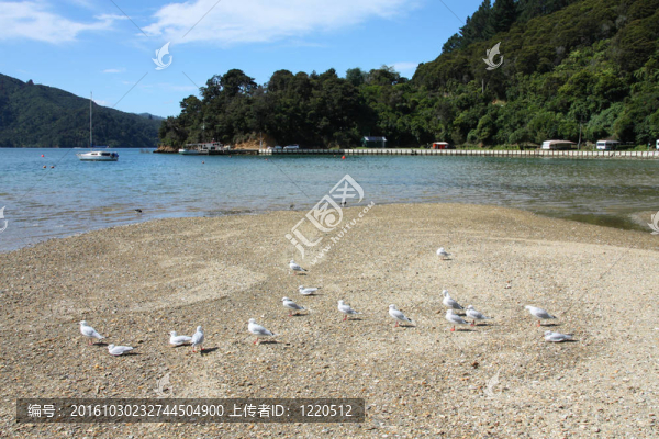 峽灣