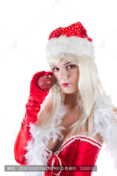 Santa夫人的圣誕畫像