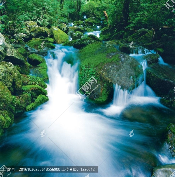 自然場景