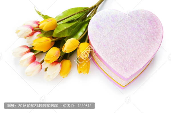 慶祝理念-禮品盒和郁金香花