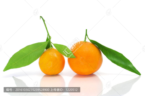 橘子