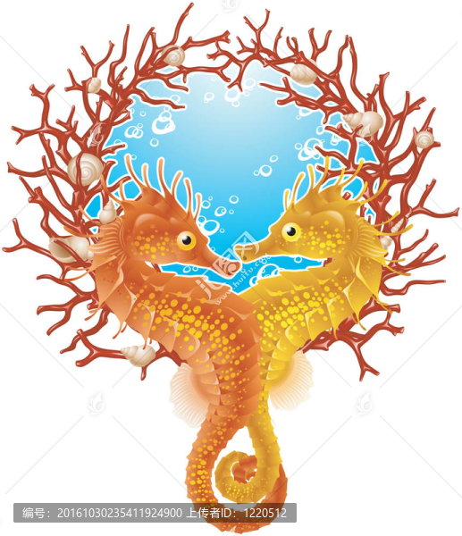 海馬的愛情框架