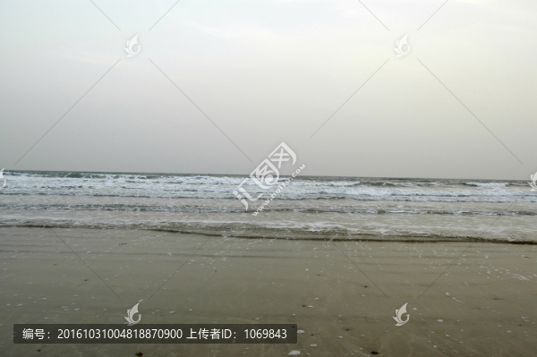 大海