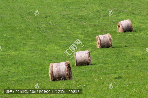 成捆的干草