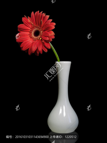 紅色的鮮花