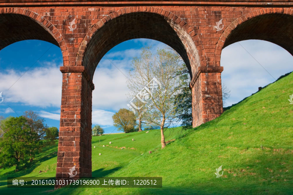月亮橋