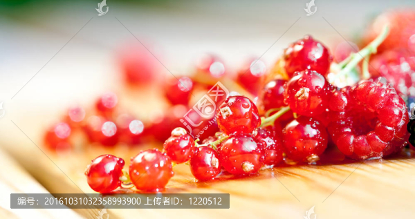 紅醋栗