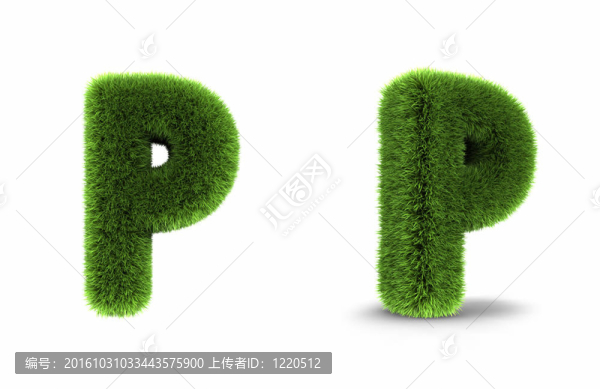 草字母P