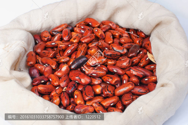 紅腰豆