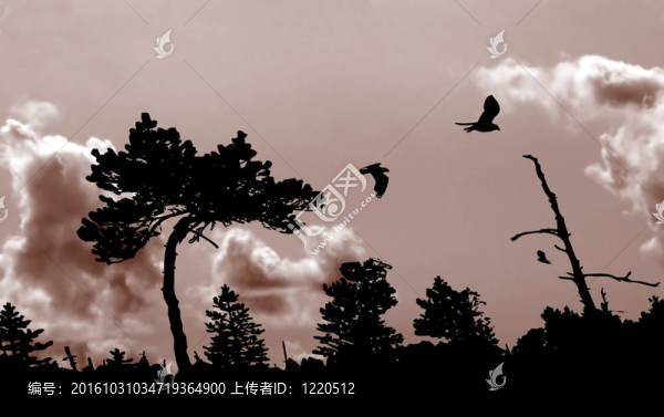 三pewits