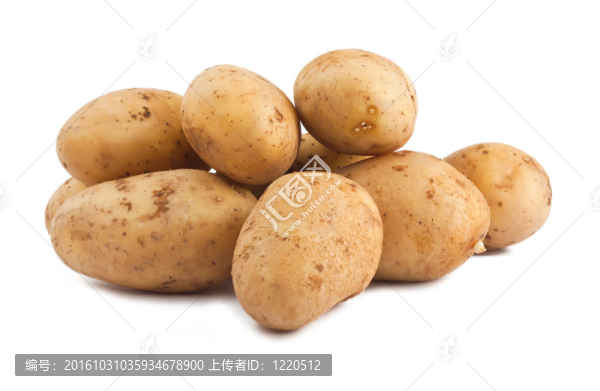 白色背景上的土豆