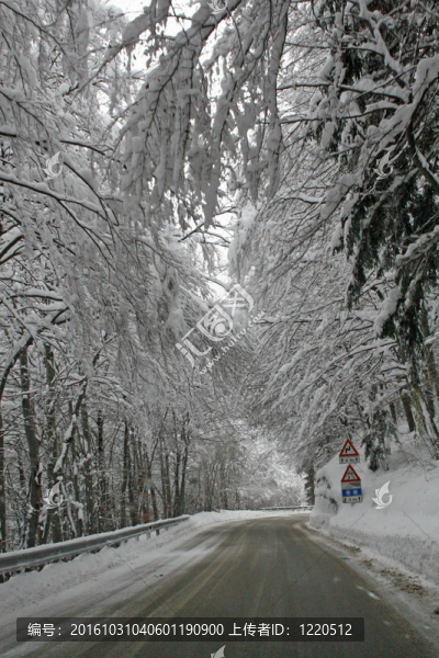 在一個寒冷的冬天完全積雪的山路