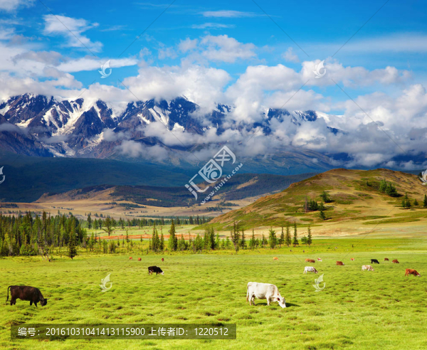 山地景觀