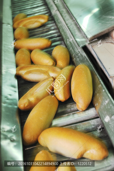 面包廠生產(chǎn)