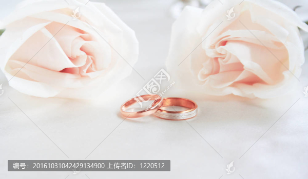 結(jié)婚戒指和玫瑰