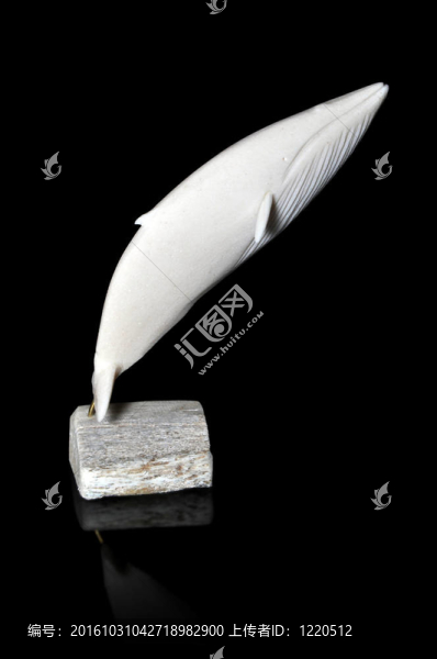 一只藍(lán)鯨的縮影
