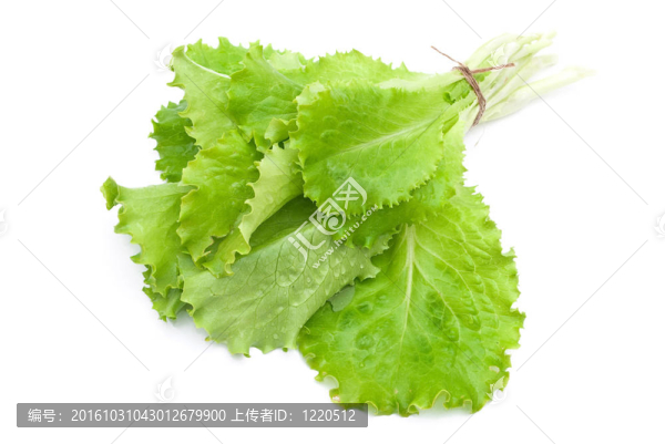 一堆沙拉的綠葉