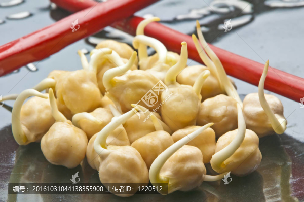 鷹嘴豆豆芽