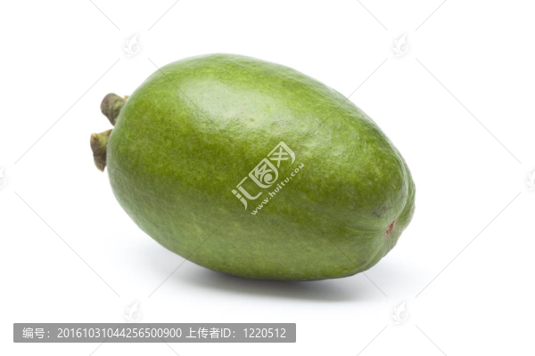 整個單食費約果果實