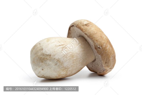 整個單鮮草菇