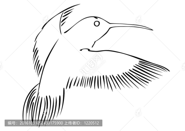 蜂鳥