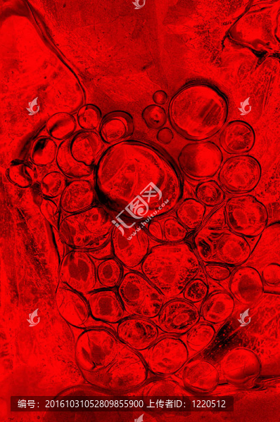 血腥的
