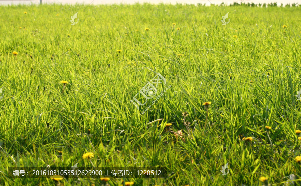 快樂(lè)的風(fēng)景