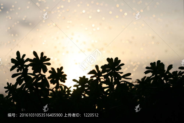 日落
