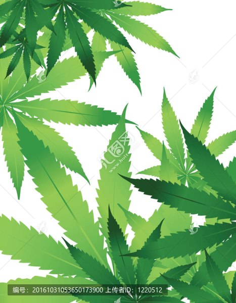 花的