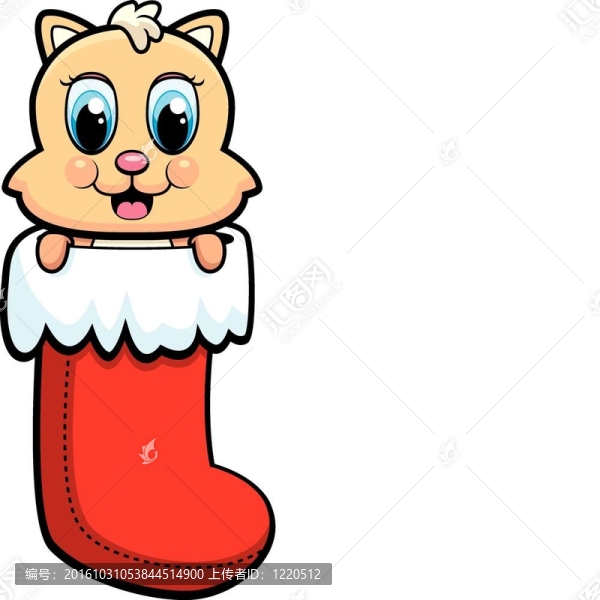 小貓的襪子