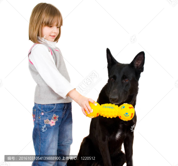 孩子和狗