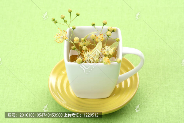 草藥茶