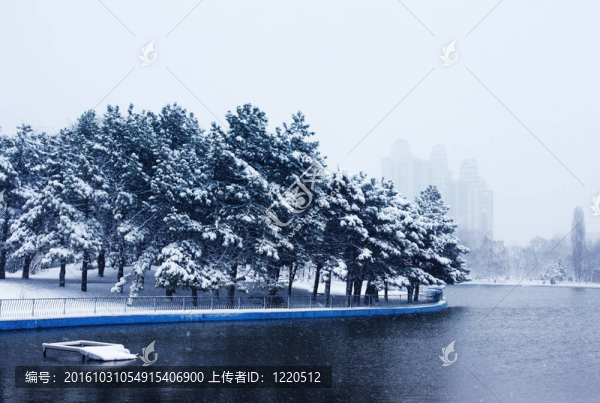 下雪的公園