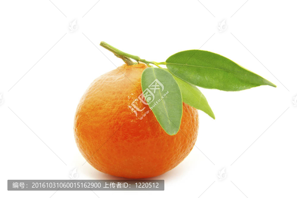 Tangerine夜店