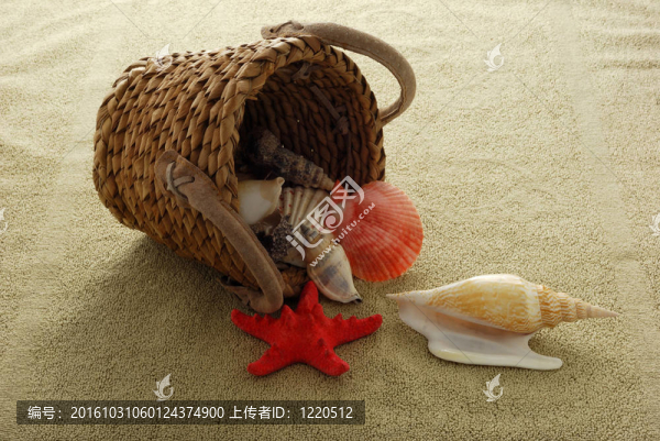 貝殼從籃子里濺到沙色毛巾上