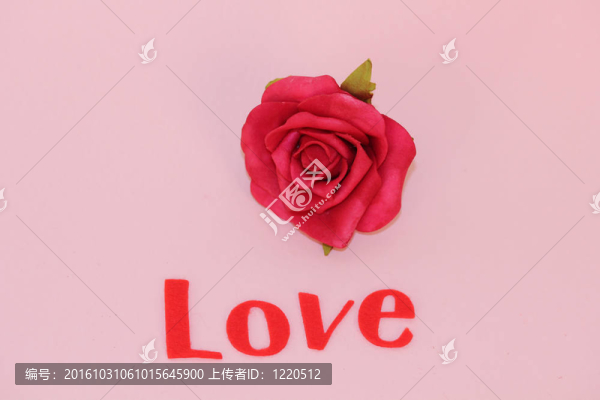 愛(ài)上紅玫瑰