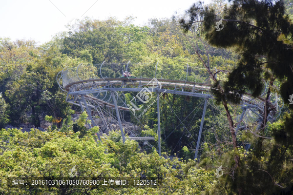 Jungle過(guò)山車(chē)