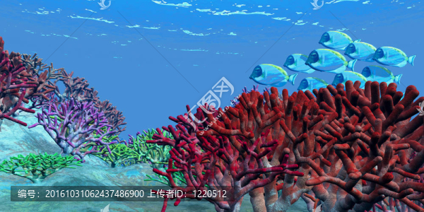 紅珊瑚