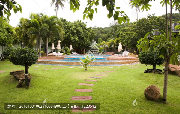 熱帶花園