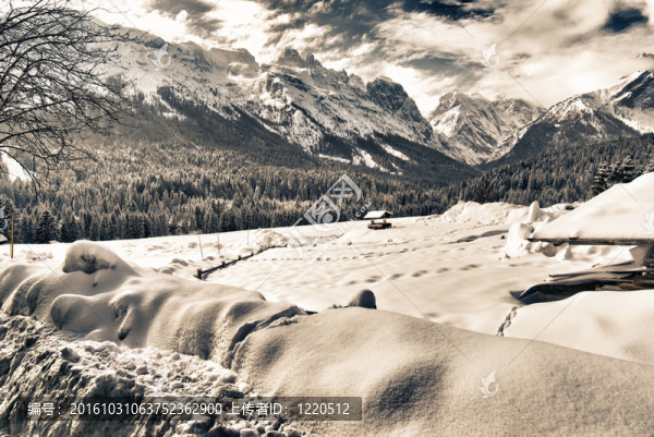 意大利阿爾卑斯山的雪景
