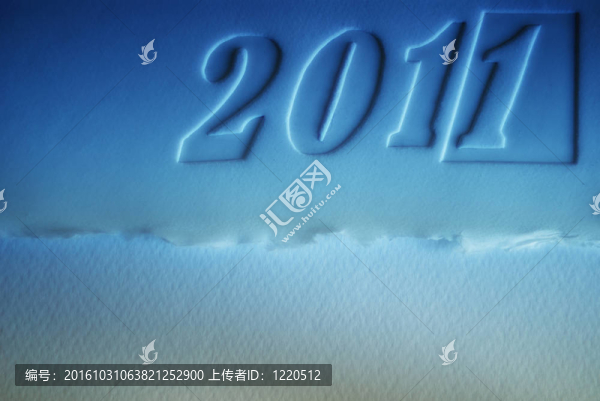 新的一年2011