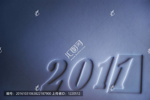 新的一年2011