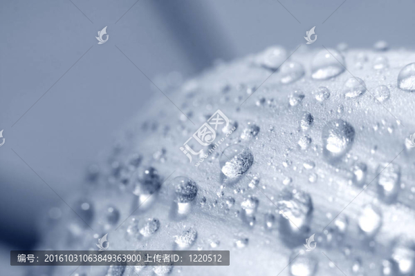 水